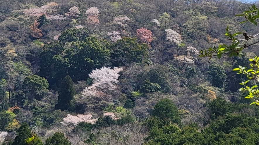 外の風景