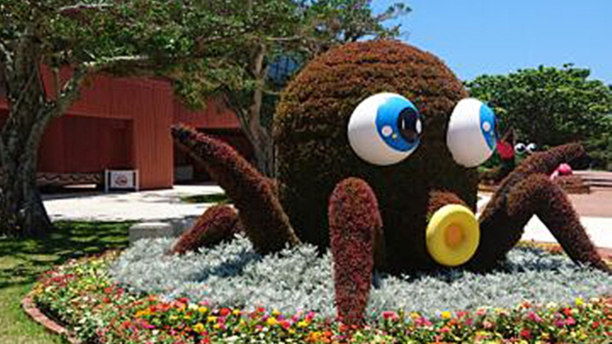 *沖縄海洋博公園/名物フラワーアート「花タコ」