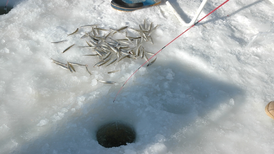 ♦ワカサギ釣り♦　1月上旬から3月にかけて網走湖にて開催しております。