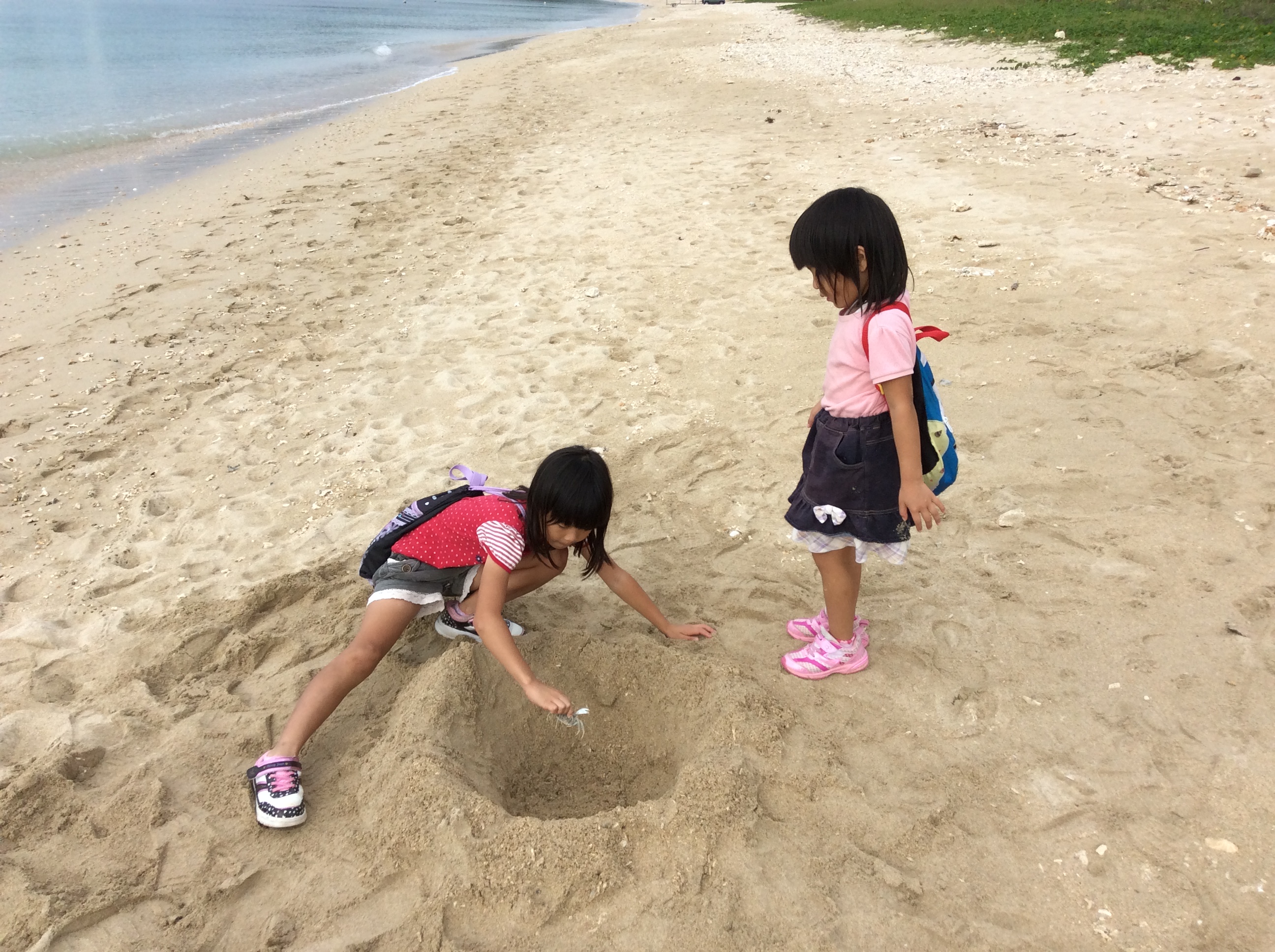 そけいの海で、なにがいるかな♪　子供たちはいつでも冒険。