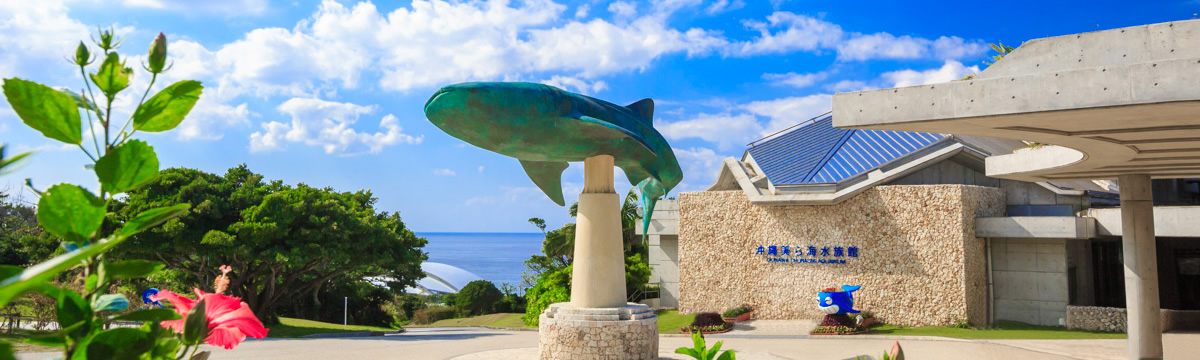 美ら海水族館　スナドゥンから約1時間15分♪