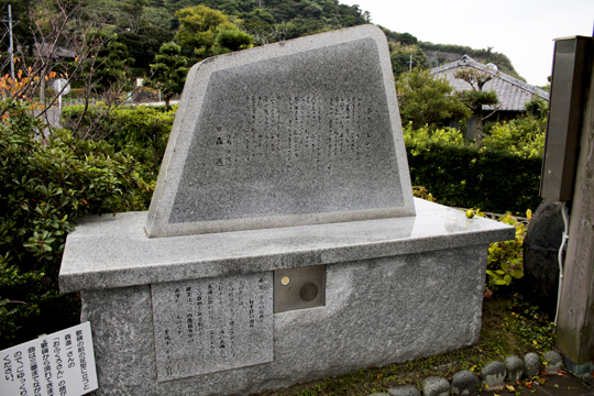 写真6