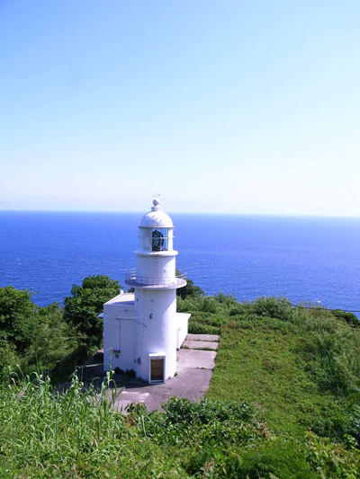 写真7