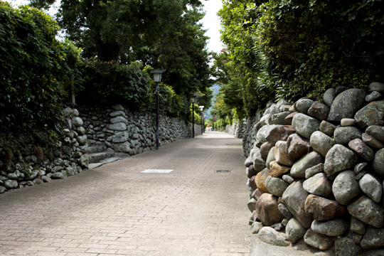写真4