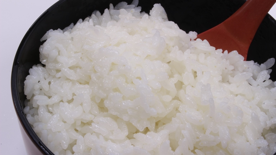 *【夕食一例】お米は直接契約している農家から仕入れている自慢のお米です。