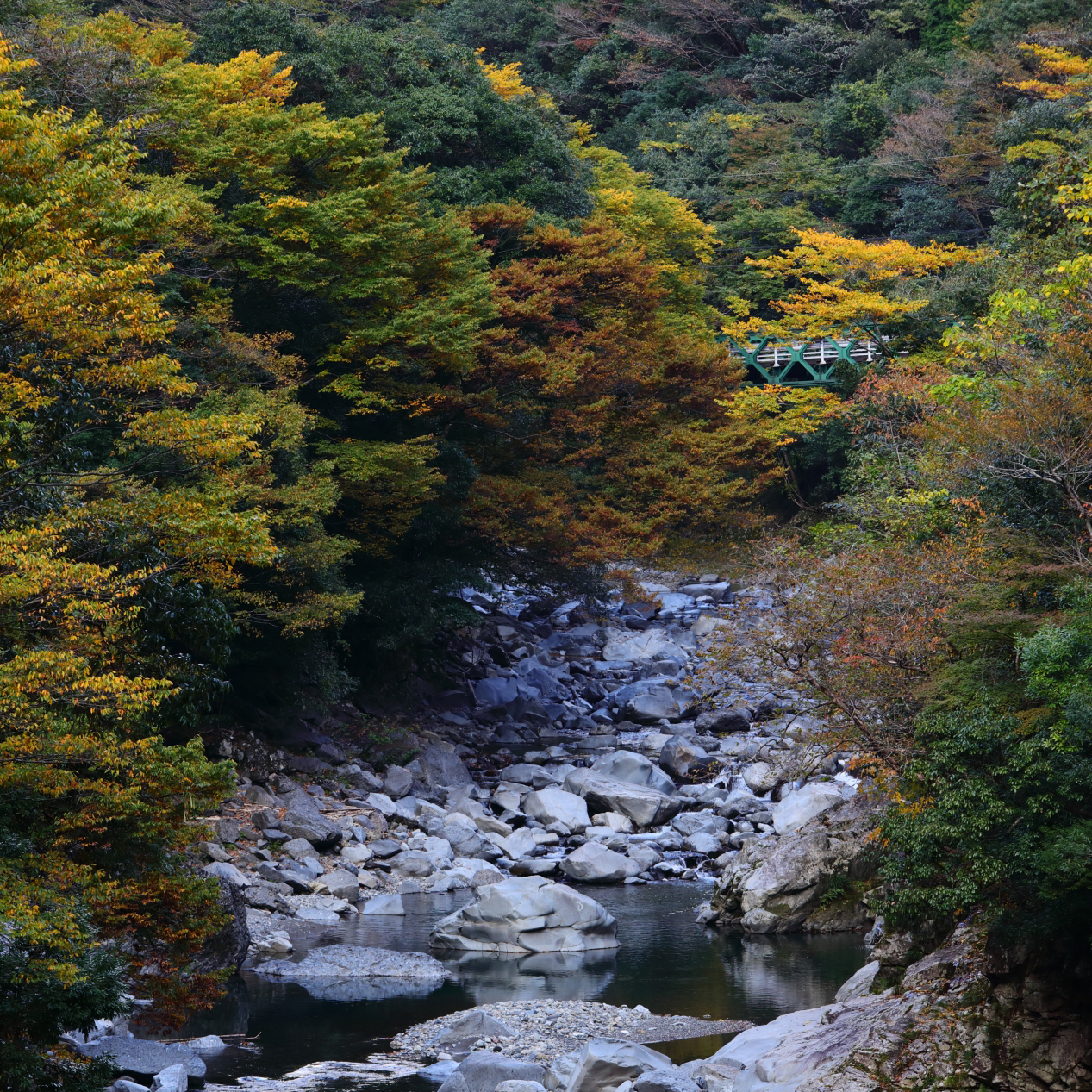 川辺川の紅葉