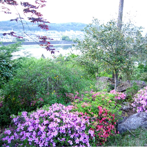 【山頂からの景色】球磨川が一望できます。