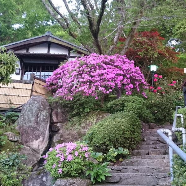 【外観】玄関へとづづく石段。季節の花々で彩ります。