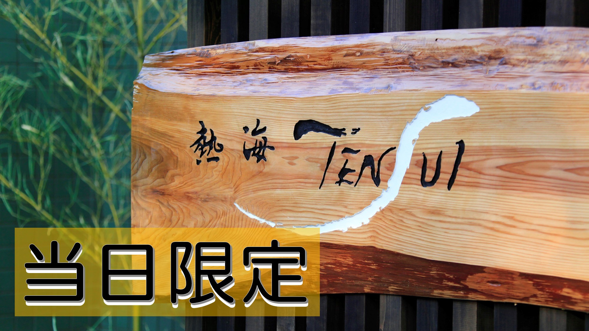 【当日限定×素泊まり】≪ポイント倍≫17時以降のチェックイン限定だからお得＜お食事なし＞ 