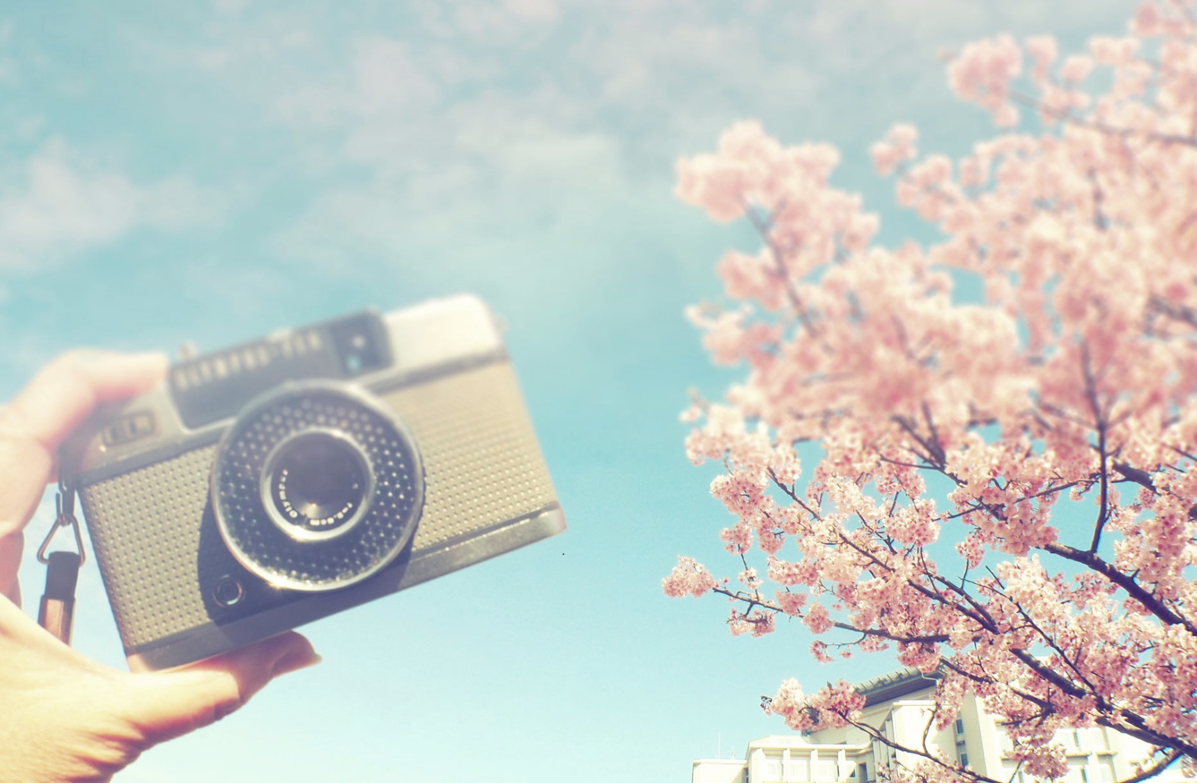 【春のグループ旅】フィルムカメラに残す大切な思い出　※一例