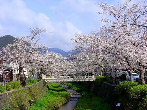 国際ホテル山口（ファーストキューブ山口） - 写真 24