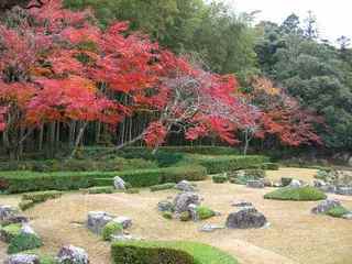 国際ホテル山口（ファーストキューブ山口） - 写真 26