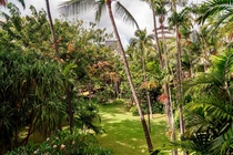 スイートルームお部屋 一例: ロイヤル ハワイアン ヒストリック ガーデン スイートの眺め