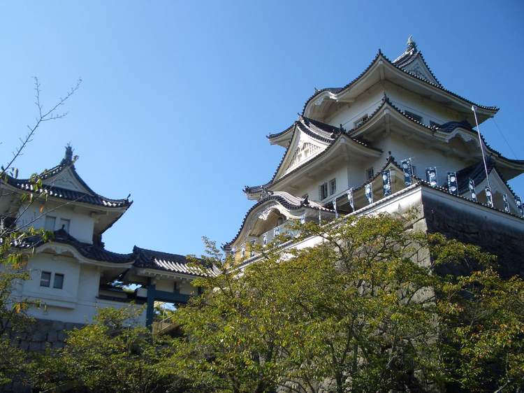Iga Ueno Castle