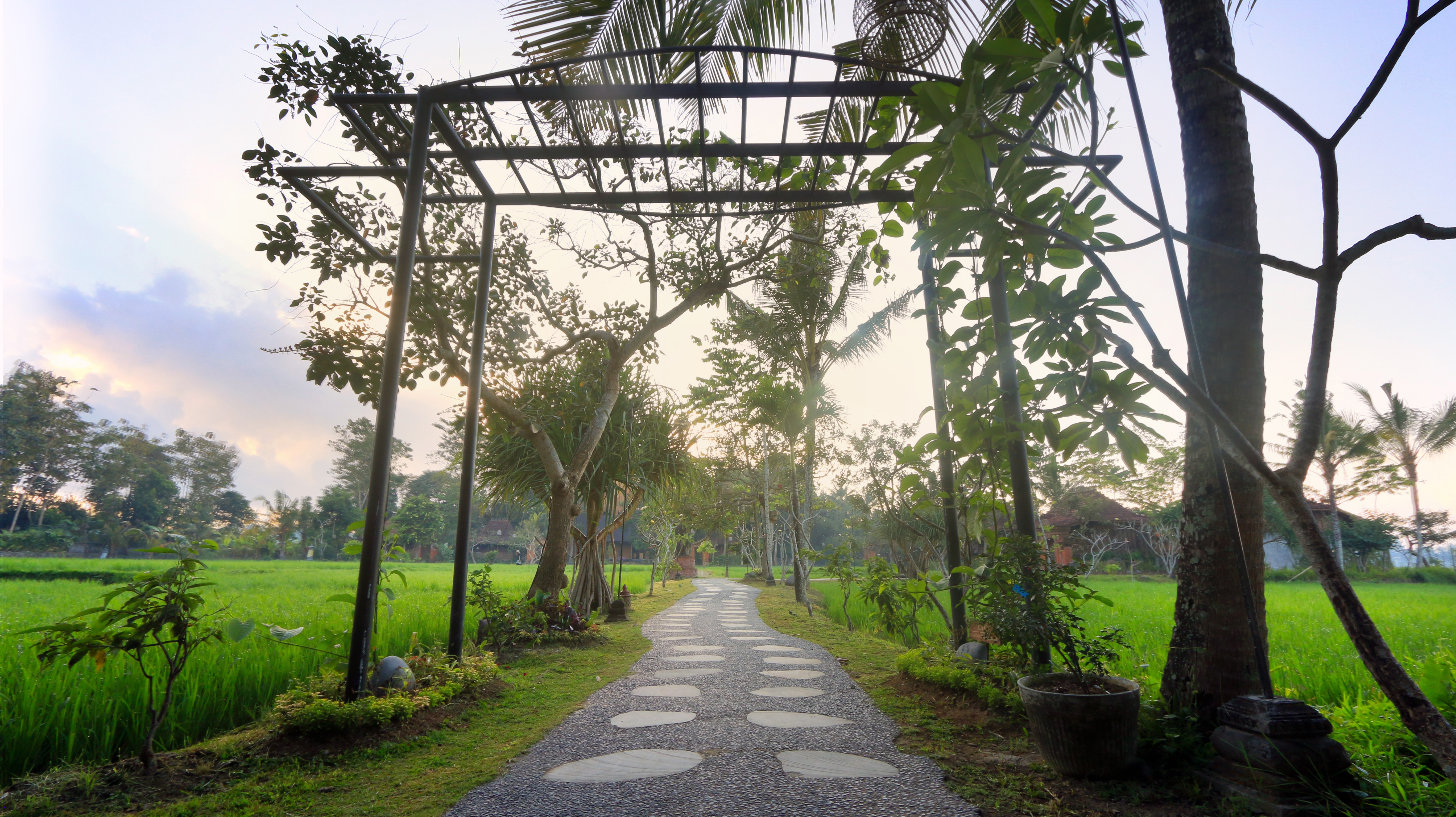 path to the rooms and villas