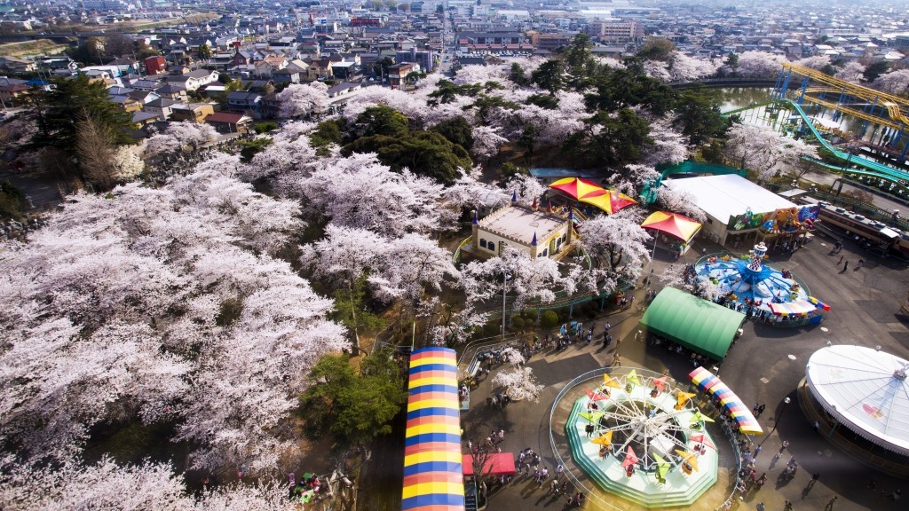 【近隣観光】〈桜〉華蔵寺公園（Auto Mirai華蔵寺遊園地 ）