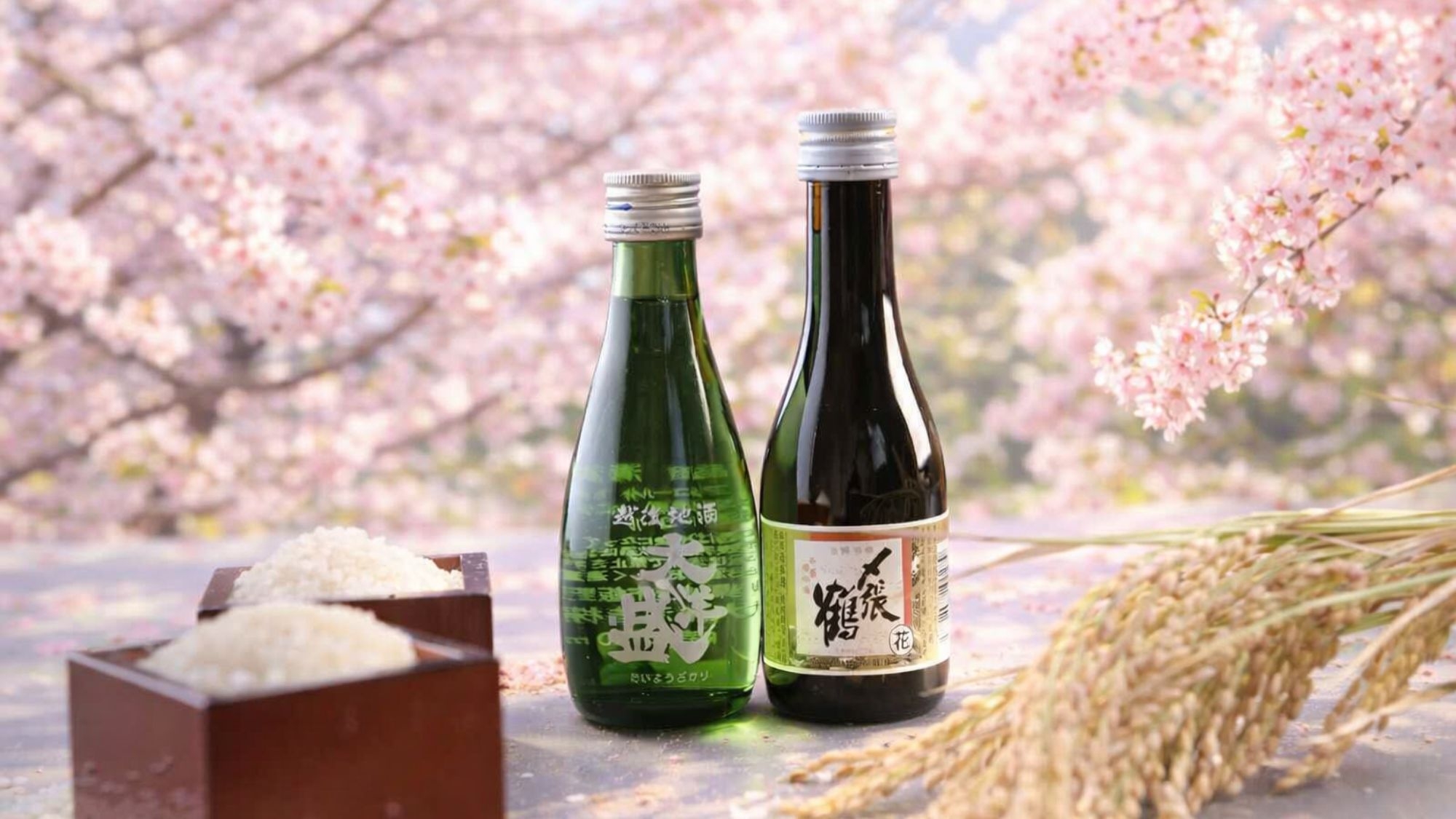 【春のお宿ガストロノミー】地酒飲み比べ特典付〇春宵に愉しむ、村上牛×塩引き鮭−香る地酒とともに