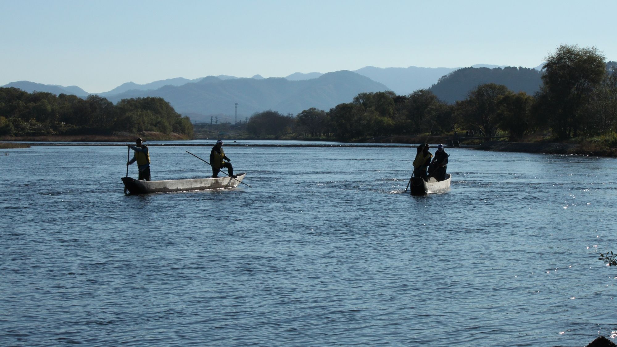 村上市の三面川だけに残ってる江戸時代から伝わる伝統漁法です。