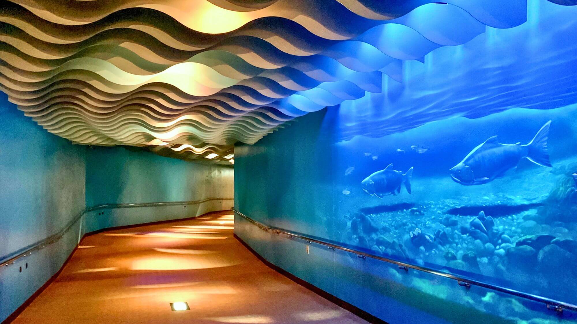 【イヨボヤ会館】当館からお車で約10分。村上名産の鮭の生態と文化が学べるユニークな博物館です。