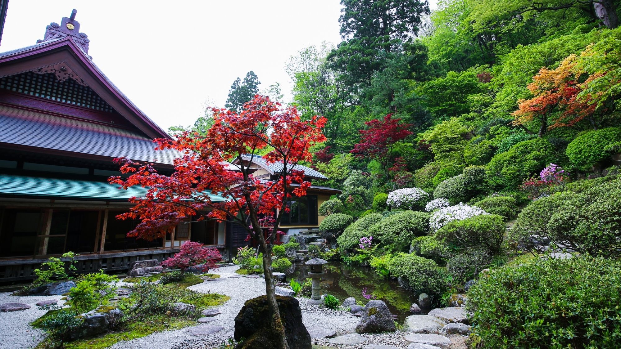 【大葉山 普済寺】室町時代より500年近くにわたって守り継がれてきた古刹。