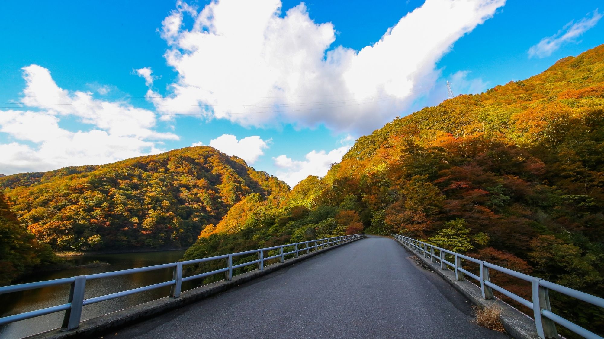 【朝日スーパーライン】新緑、紅葉の季節は素晴らしい景観が堪能でき、新潟景勝百選地にも選ばれています。