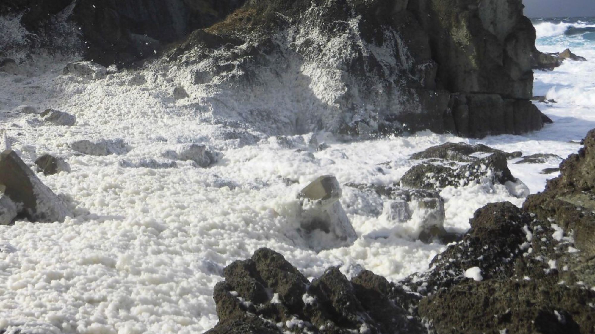 冬の村上珍風景、荒波に咲く花「波の花」。笹川流れ周辺で見ることができます。