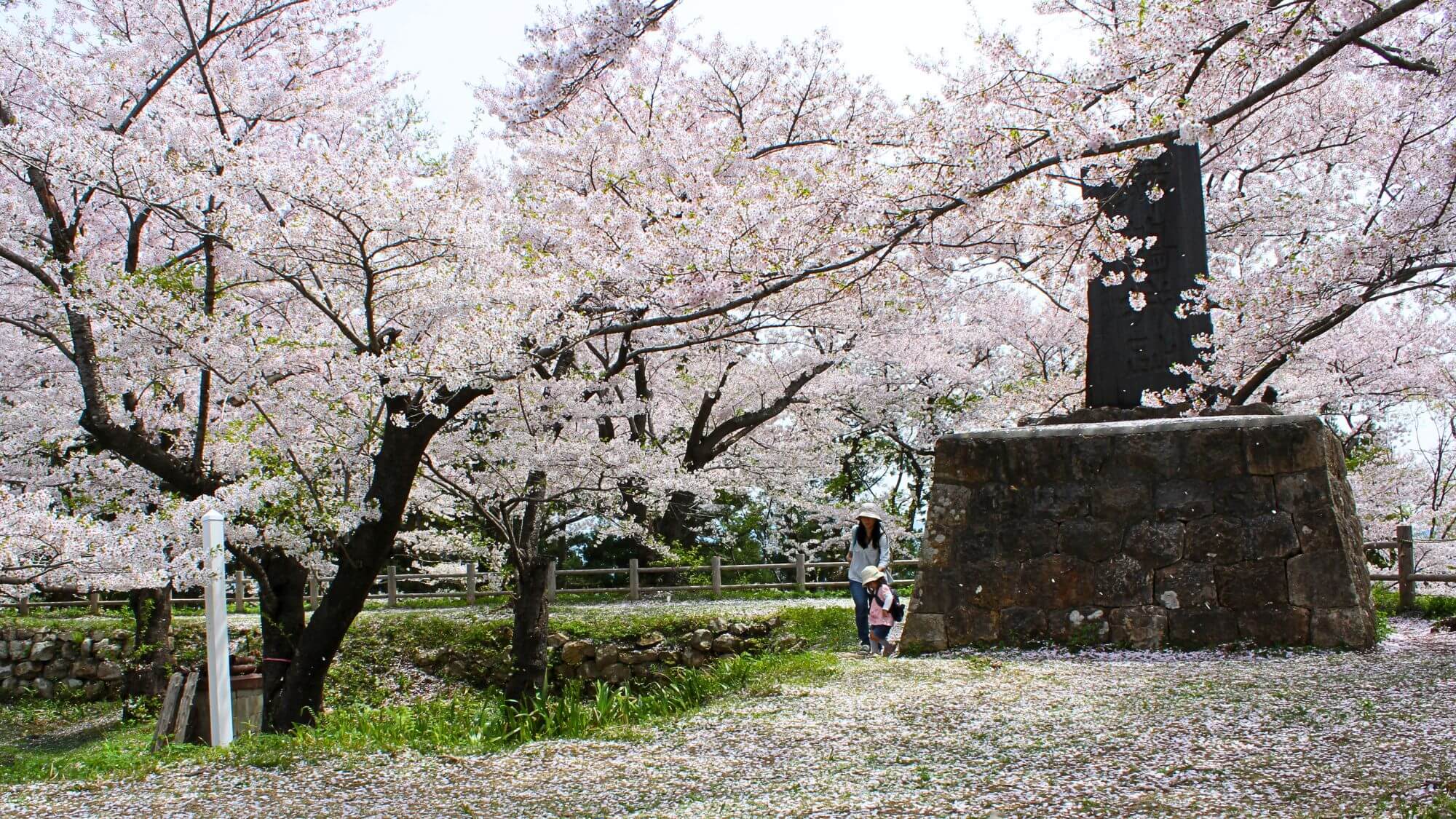 【村上城】当館からお車で約15分。続日本100名城。石垣と絶景の城下町を一望いただけます。