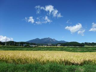 八ヶ岳の秋（アスコット周辺）