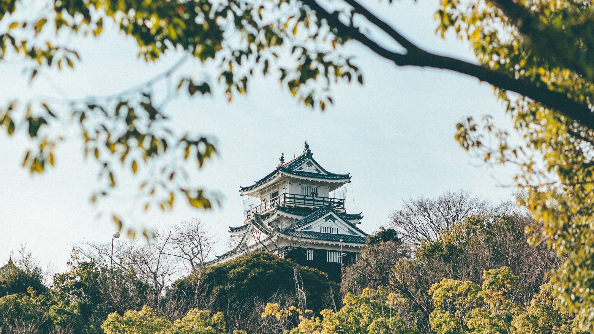 浜松城公園