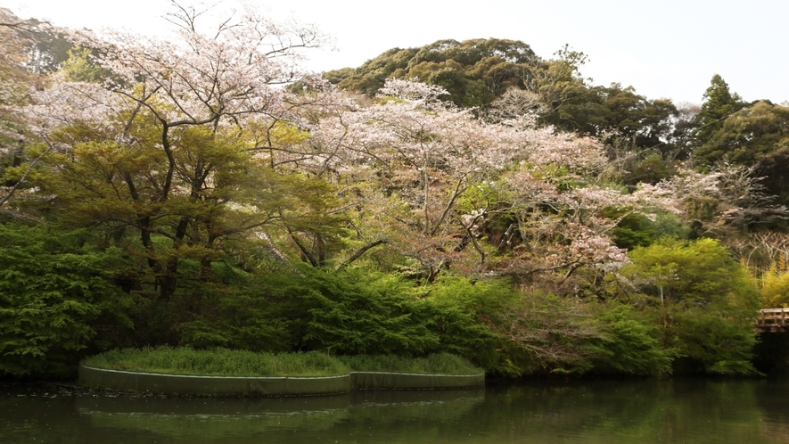 奥山公園-02