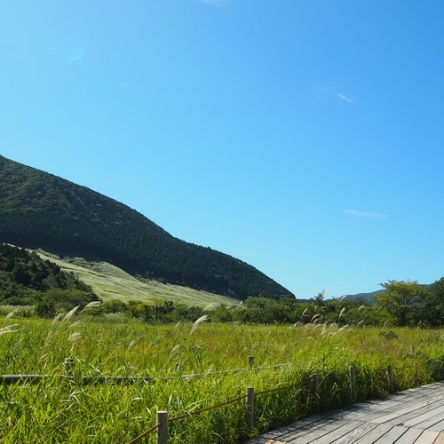 Hotel photo 24 of Re Cove Hakone.