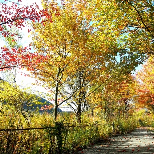 Hotel photo 26 of Re Cove Hakone.