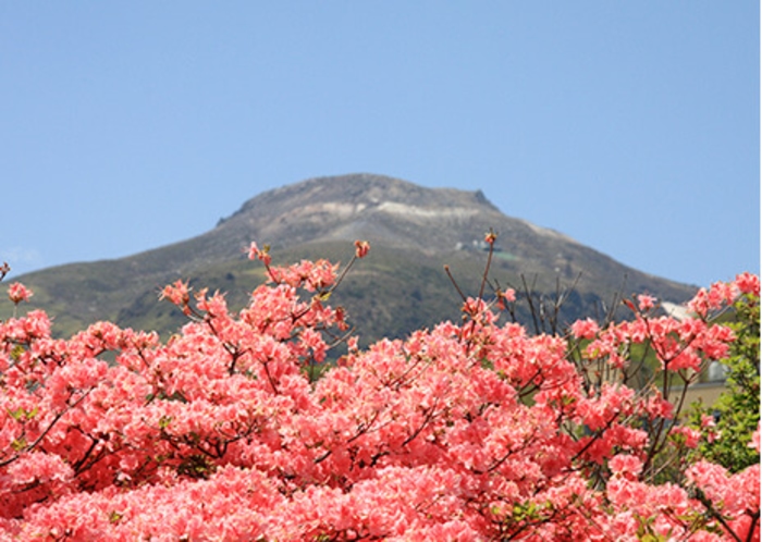 那須ロープウェイ４月