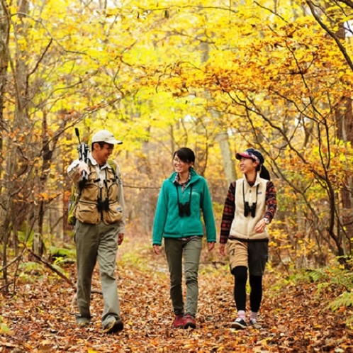 【森林・高原散策】国立公園内の自然豊かな散策道がたくさん