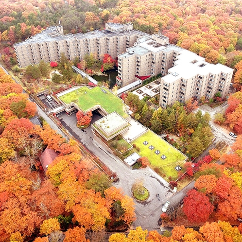 秋　ホテルを鮮やかな紅葉に囲まれる美しい時期