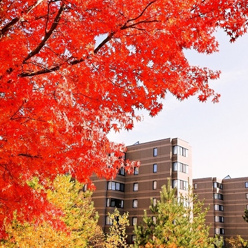 秋　ホテルを鮮やかな紅葉に囲まれる美しい時期