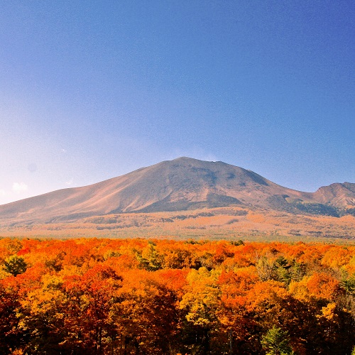 秋　パノラマテラスから望む浅間山の紅葉