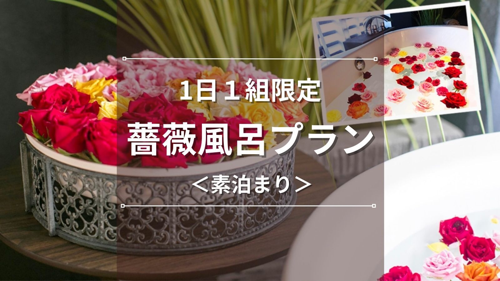 【1日１組限定】鮮やかな薔薇で映え必至！非日常を楽しむ薔薇風呂プラン｜素泊まり＆レイトチェックアウト