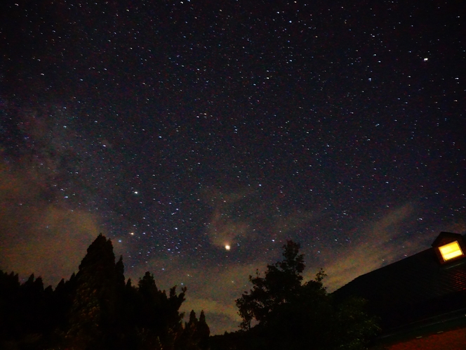 水神之森の上には満天の星空が。