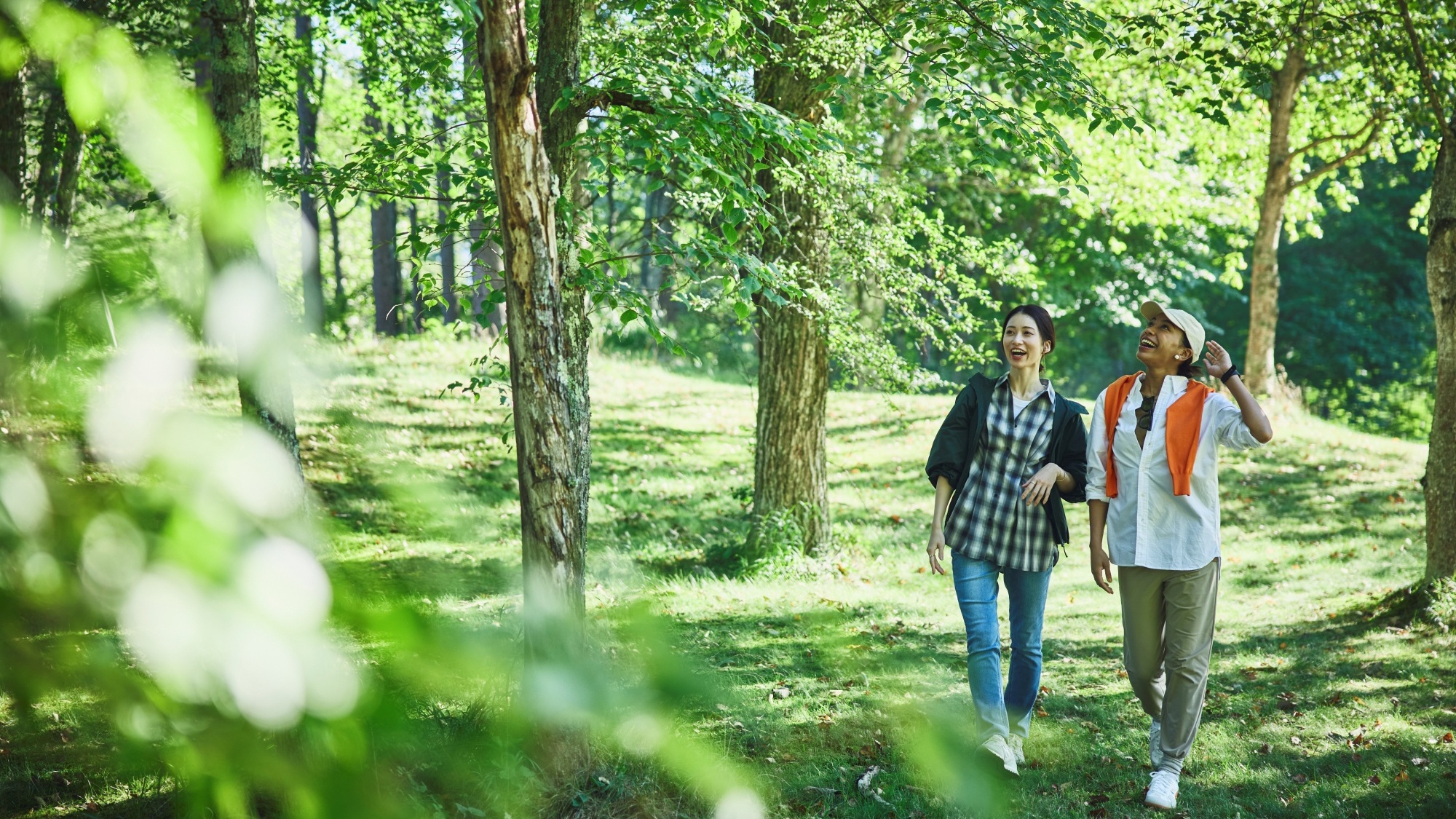 木漏れ日の中庭散歩