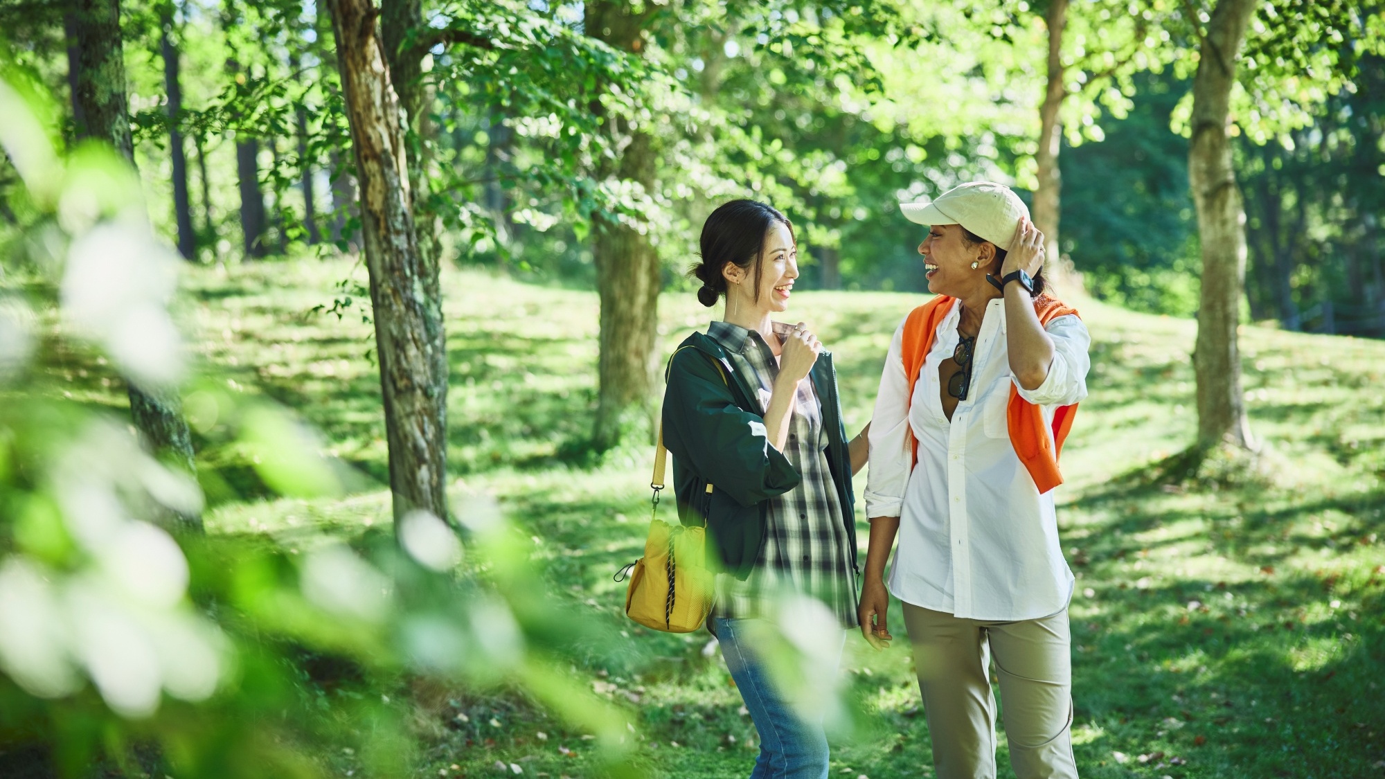 木漏れ日の中庭散歩