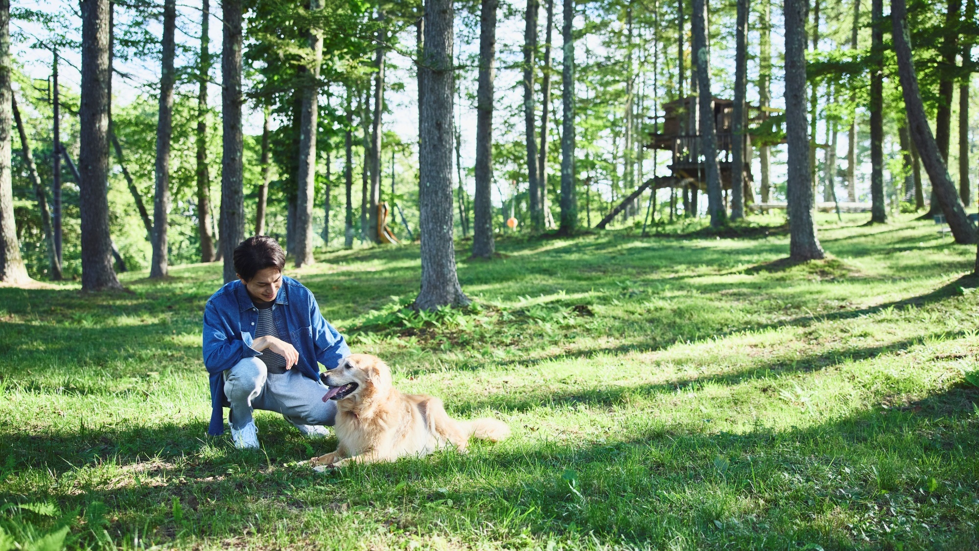 ドッグフレンドリー