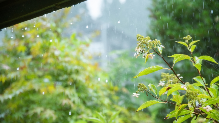 *四季折々、雨の日も晴れの日も様々な景色がお楽しみいただけます。