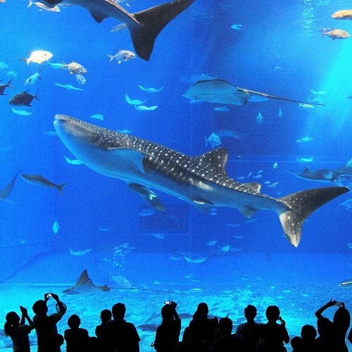 【美ら海水族館チケット付き】＜素泊まり＞ジャグジー付きの絶景プライベートヴィラでゆったりステイ♪