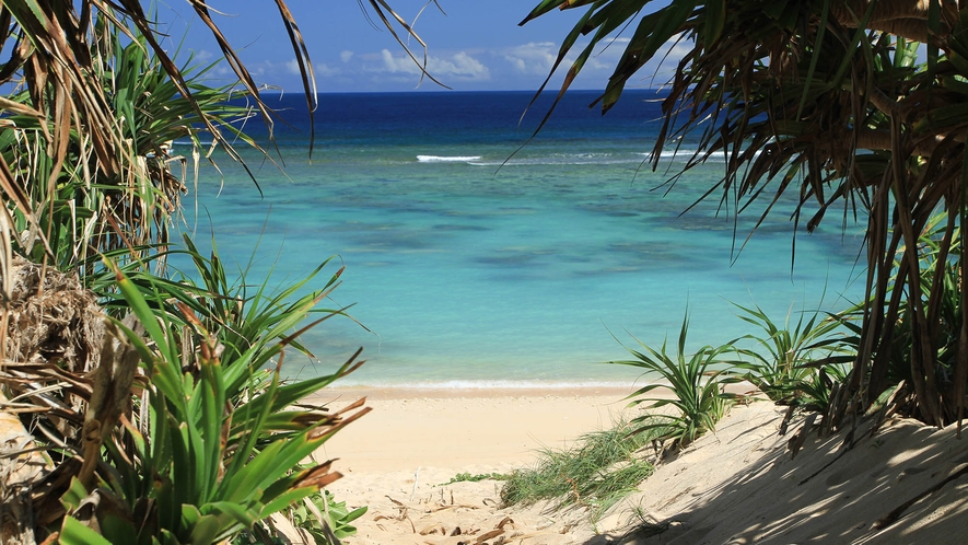 ・【周辺】お近くのビーチまで徒歩約4分。沖縄の誇る美しい海をお楽しみください