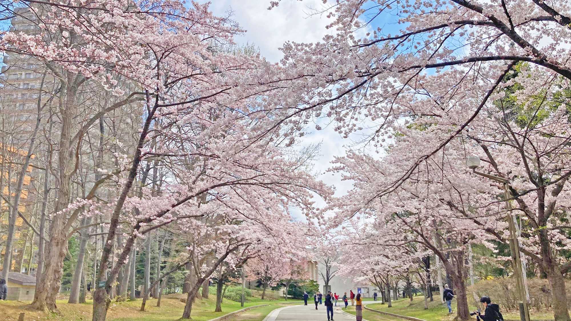 【公園側確約】四季を楽しむ中島公園満喫プラン/素泊り