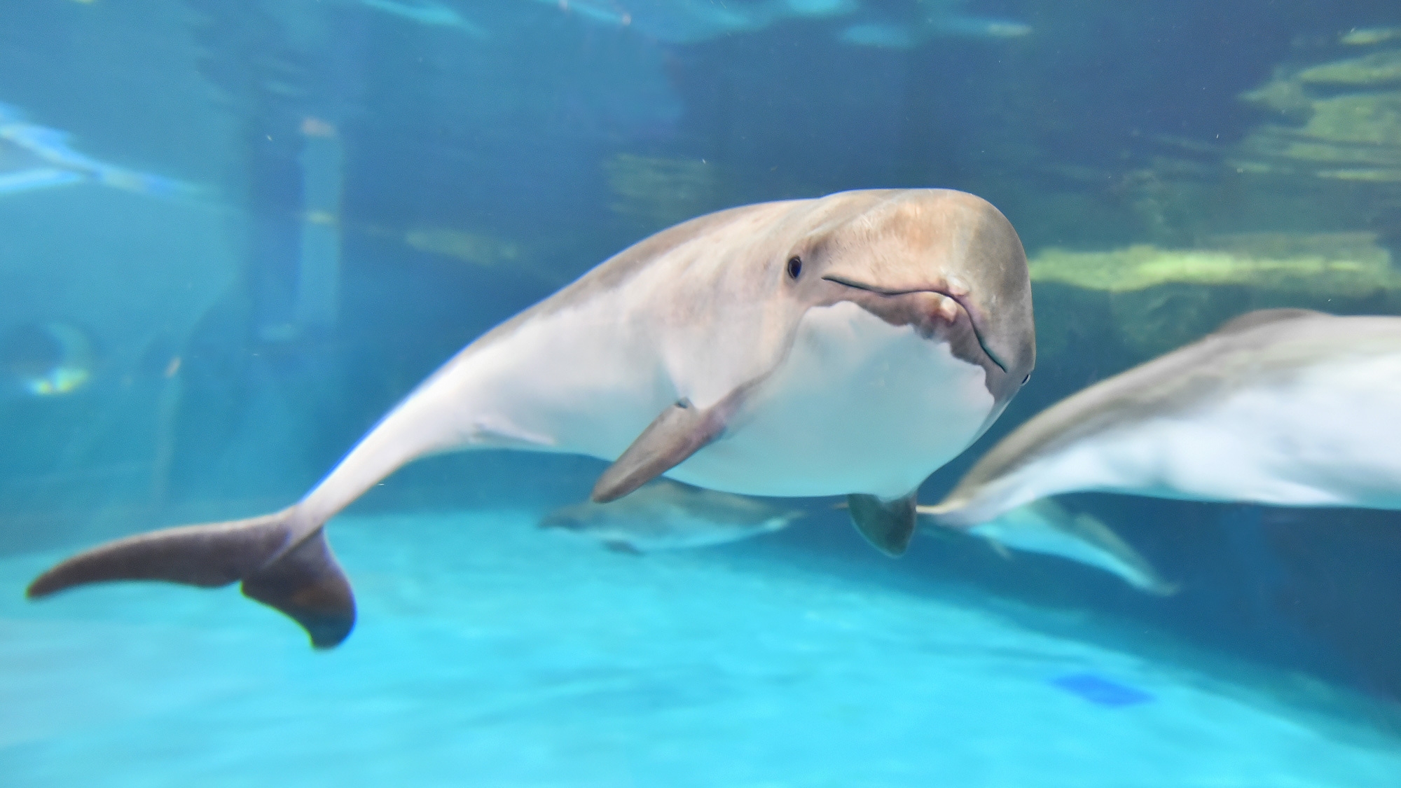 さっぽろステイ＆おたる水族館 入場券付き／素泊り