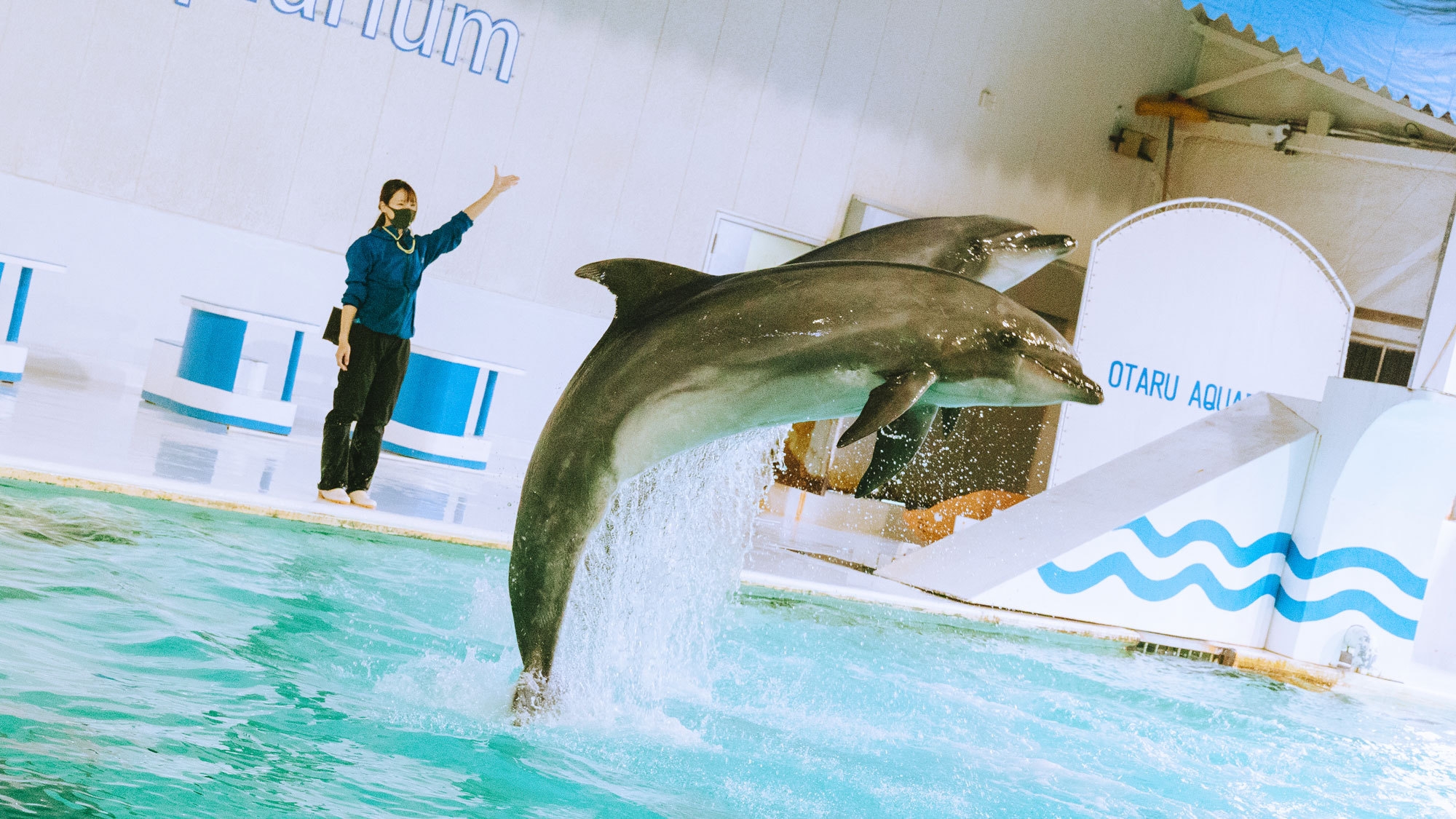 さっぽろステイ＆おたる水族館 入場券付き／朝食付