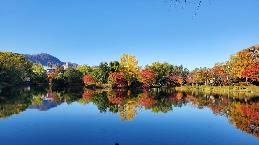 【周辺】中島公園　秋　菖蒲池