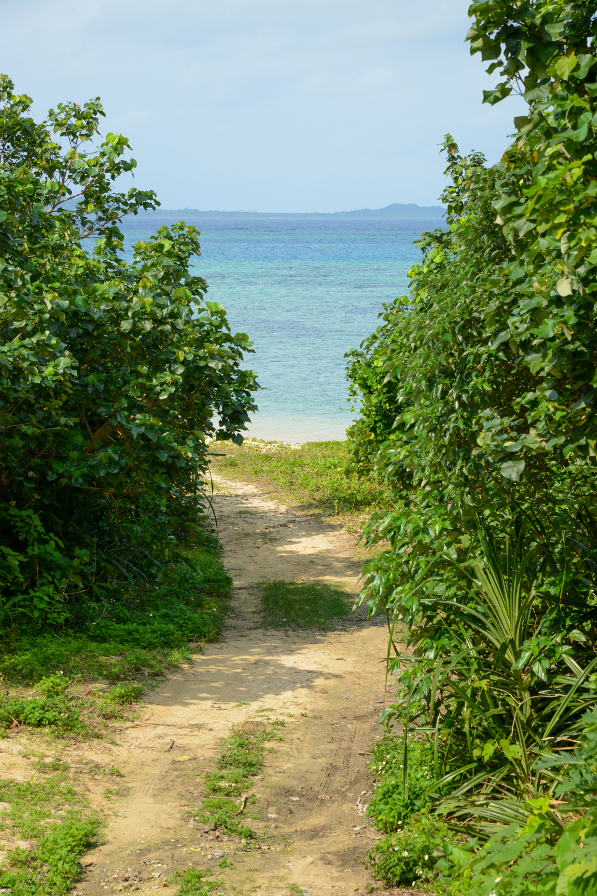 ビーチまでの道